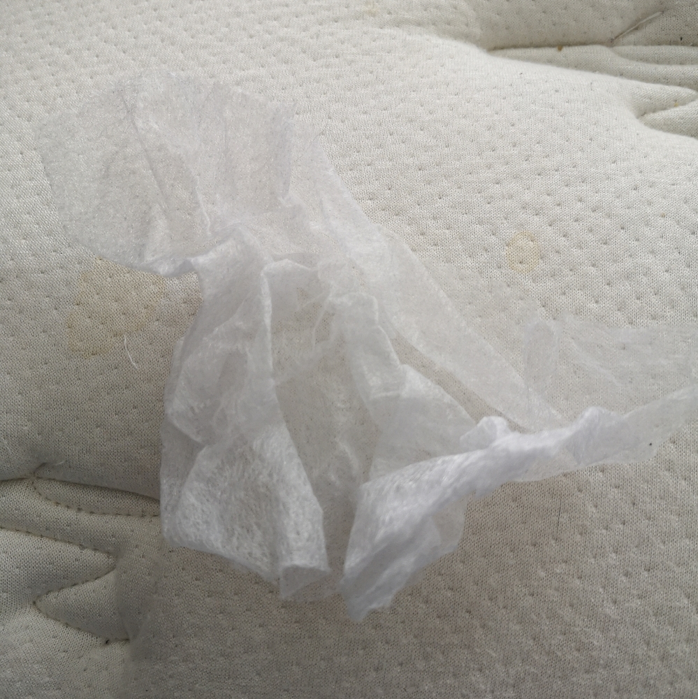 Used dryer sheet